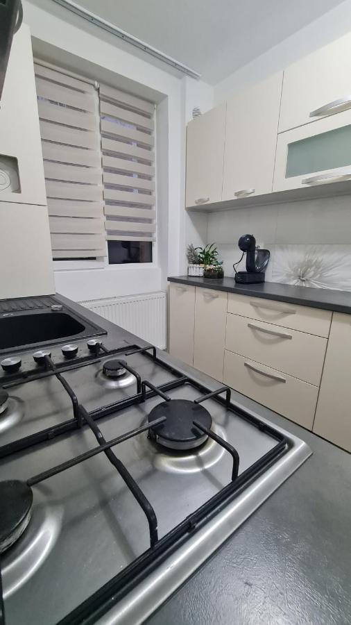 Apartament Violeta Gura Humorului Extérieur photo